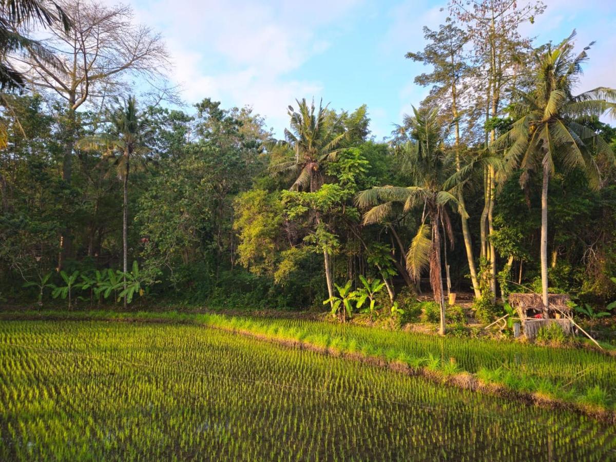 Pondok Diana Yuki Jasri Buitenkant foto
